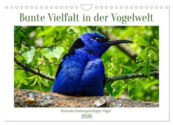 Kalendář/Diář Bunte Vielfalt in der Vogelwelt (Wandkalender 2026 DIN A4 quer), CALVENDO Monatskalender Calvendo