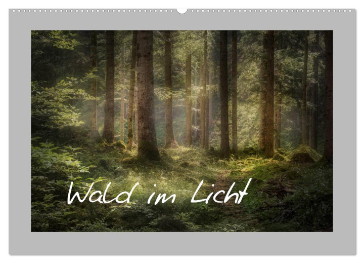 Kalendár/Diár Wald im Licht (Wandkalender 2026 DIN A2 quer), CALVENDO Monatskalender Calvendo
