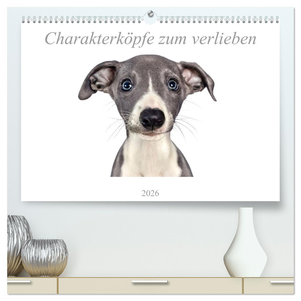 Kalendář/Diář Charakterköpfe zum verlieben (hochwertiger Premium Wandkalender 2026 DIN A2 quer), Kunstdruck in Hochglanz Calvendo