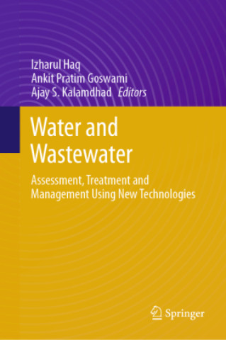 Kniha Water and Wastewater Izharul Haq