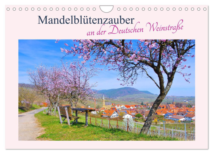 Kalendár/Diár Mandelblütenzauber an der Deutschen Weinstraße (Wandkalender 2026 DIN A4 quer), CALVENDO Monatskalender Calvendo