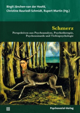 Kniha Schmerz Birgit Jänchen-van der Hoofd