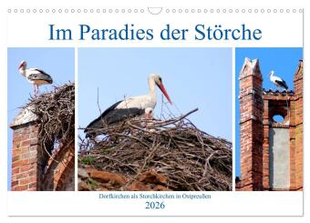 Kalendář/Diář Im Paradies der Störche - Dorfkirchen als Storchkirchen in Ostpreußen (Wandkalender 2026 DIN A3 quer), CALVENDO Monatskalender Calvendo