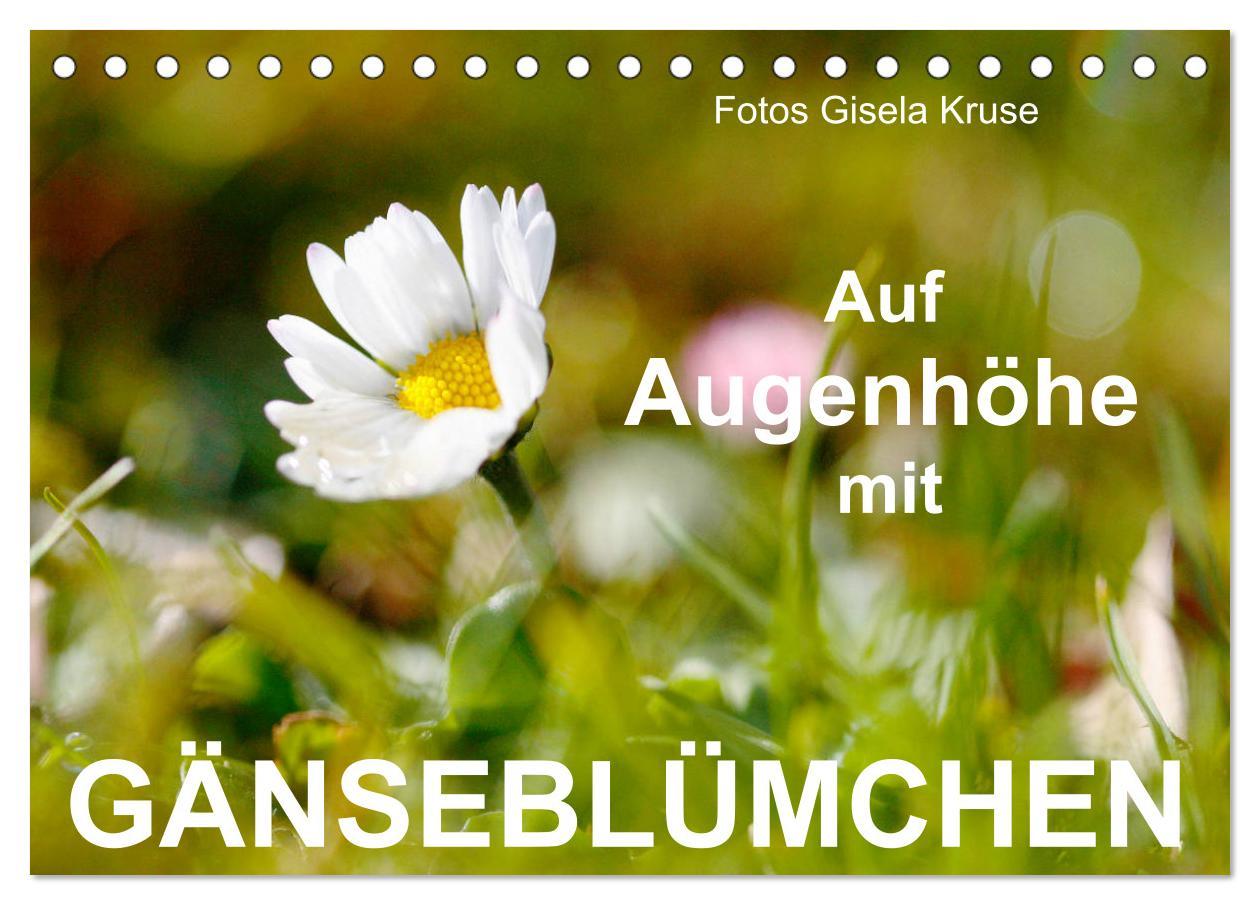 Kalendár/Diár Auf Augenhöhe mit Gänseblümchen (Tischkalender 2026 DIN A5 quer), CALVENDO Monatskalender Calvendo