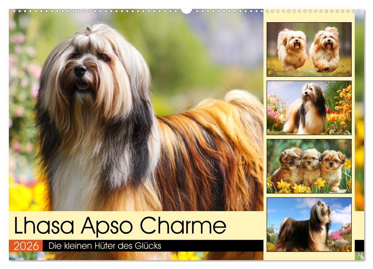 Kalendár/Diár Lhasa Apso Charme. Die kleinen Hüter des Glücks (Wandkalender 2026 DIN A2 quer), CALVENDO Monatskalender Calvendo