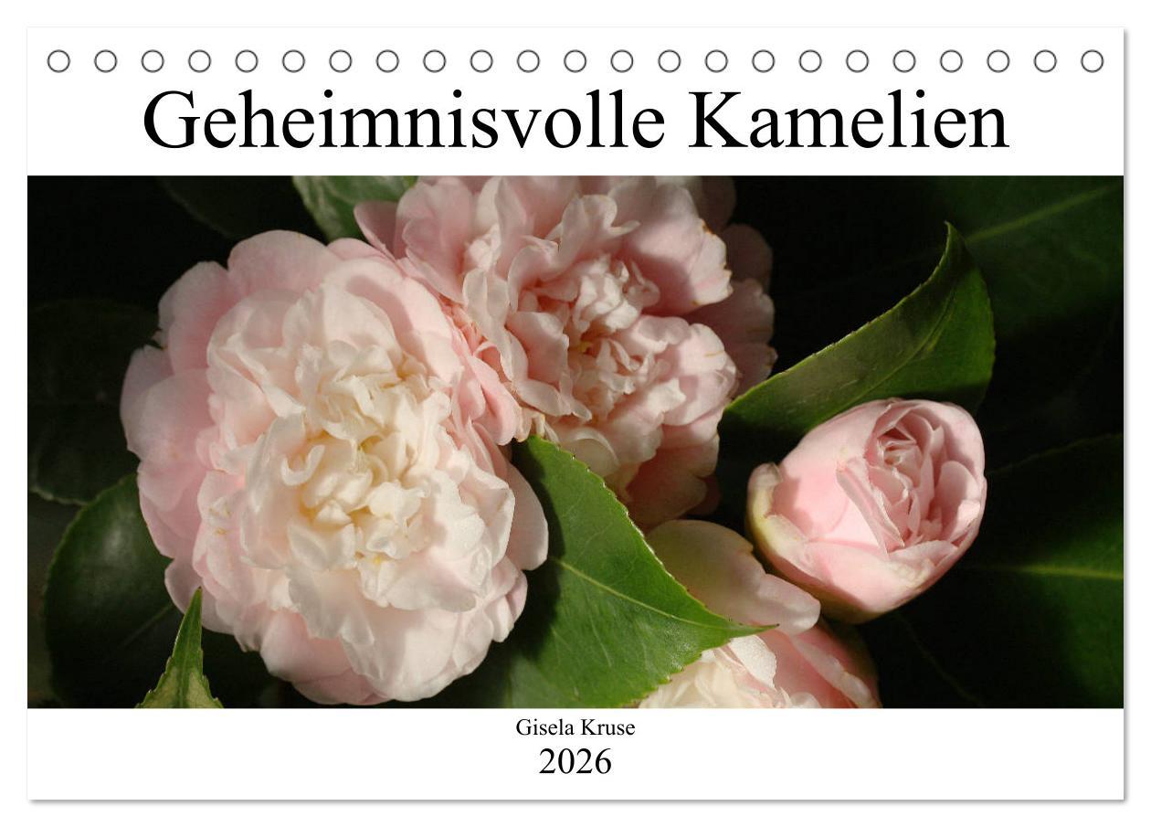 Kalendár/Diár Geheimnisvolle Kamelien (Tischkalender 2026 DIN A5 quer), CALVENDO Monatskalender Calvendo