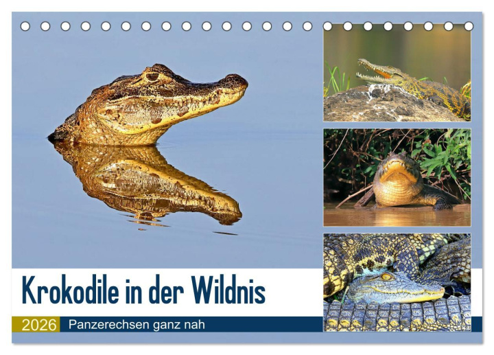 Kalendár/Diár Krokodile in der Wildnis (Tischkalender 2026 DIN A5 quer), CALVENDO Monatskalender Calvendo