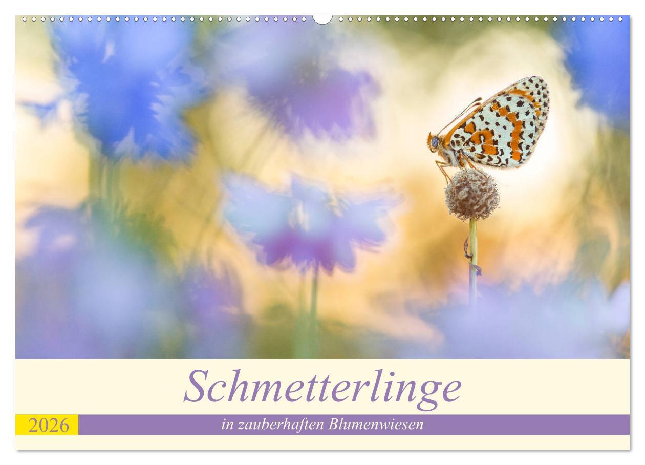 Kalendář/Diář Schmetterlinge in zauberhaften Blumenwiesen (Wandkalender 2026 DIN A2 quer), CALVENDO Monatskalender Calvendo