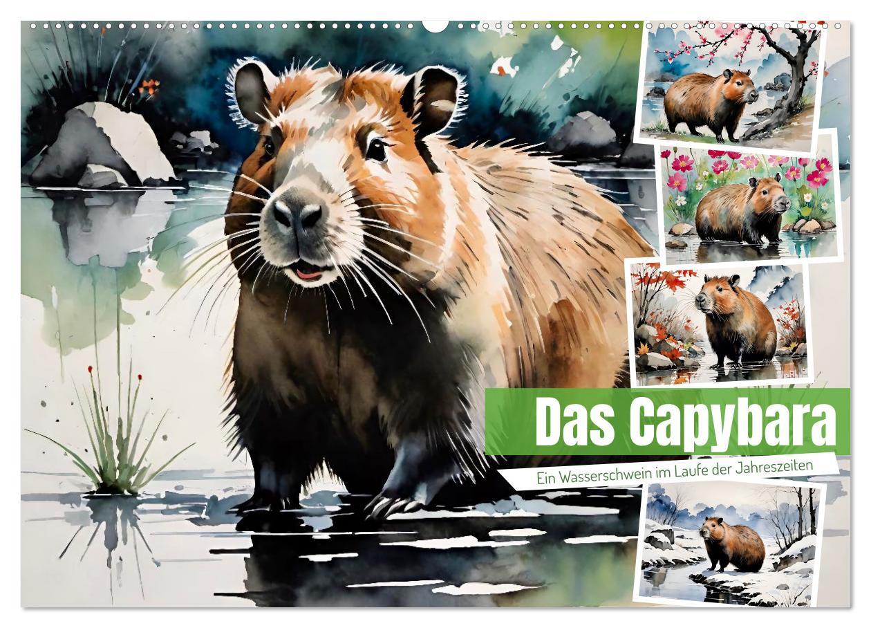 Koledar/Rokovnik Das Capybara (Wandkalender 2026 DIN A2 quer), CALVENDO Monatskalender Calvendo