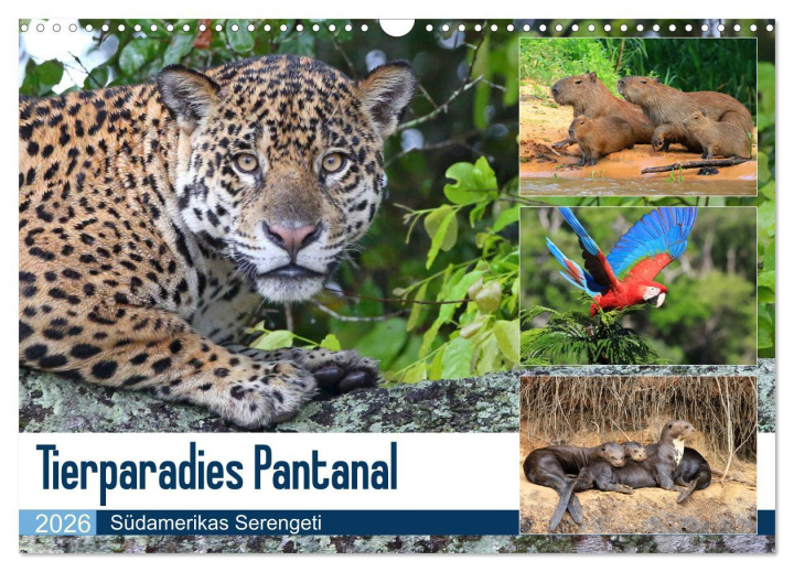 Kalendár/Diár Tierparadies Pantanal (Wandkalender 2026 DIN A3 quer), CALVENDO Monatskalender Calvendo