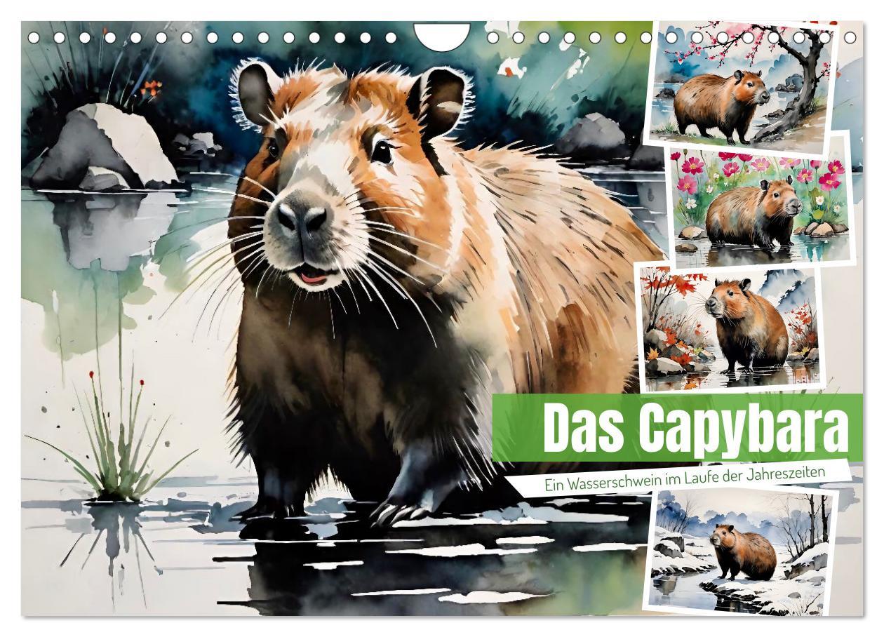 Koledar/Rokovnik Das Capybara (Wandkalender 2026 DIN A4 quer), CALVENDO Monatskalender Calvendo