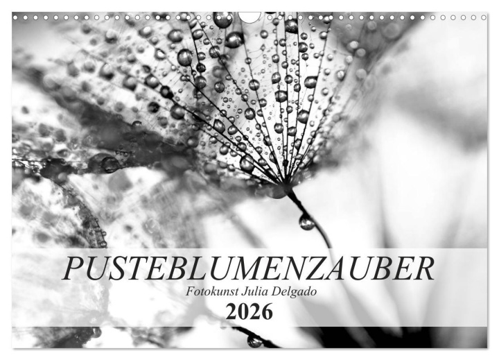 Kalendár/Diár Pusteblumenzauber in schwarzweiß (Wandkalender 2026 DIN A3 quer), CALVENDO Monatskalender Calvendo