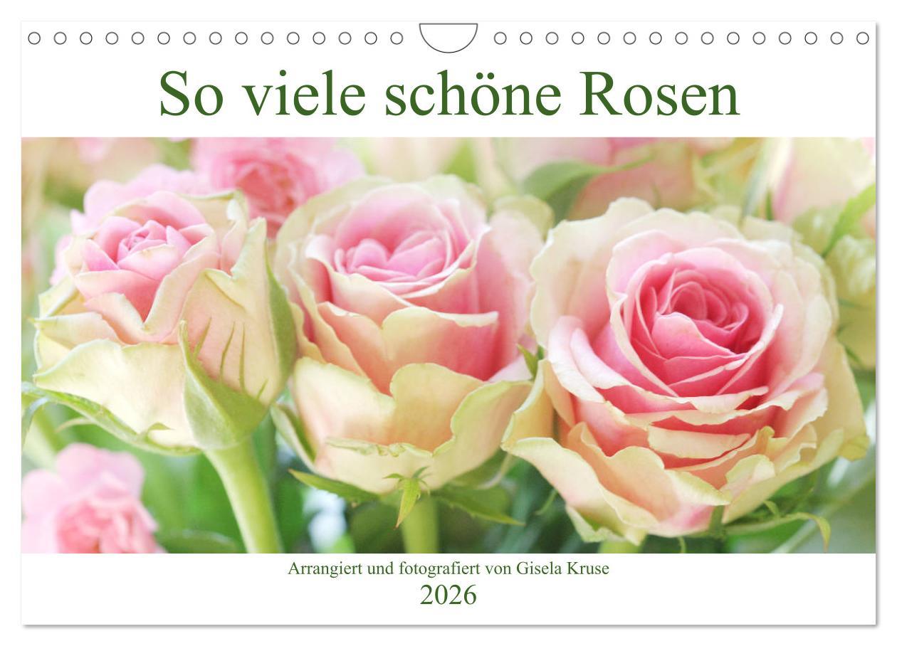Kalendář/Diář So viele schöne Rosen (Wandkalender 2026 DIN A4 quer), CALVENDO Monatskalender Calvendo