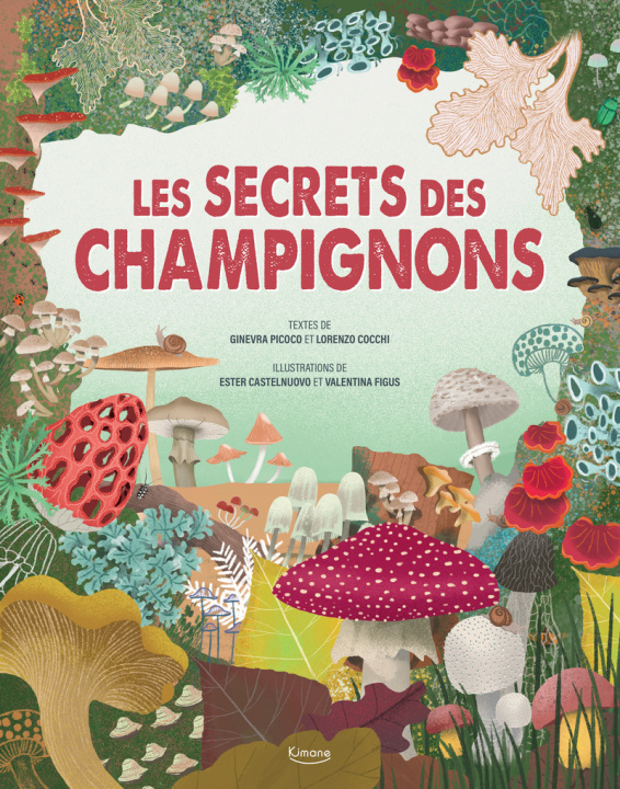 Kniha Le Secret des champignons Ginevra Picoco