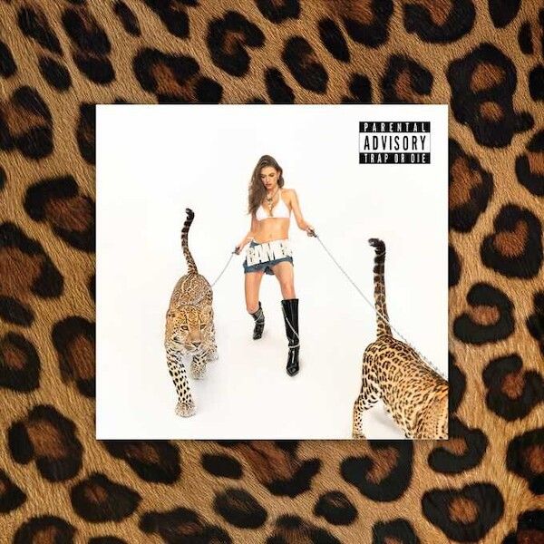 Kniha Trap or die CD Bambi