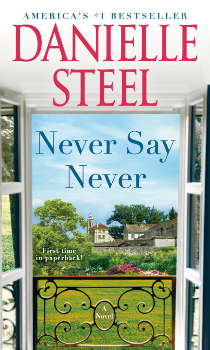 Kniha NEVER SAY NEVER STEEL DANIELLE