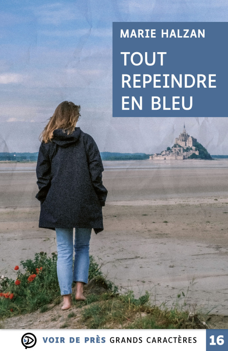 Kniha TOUT REPEINDRE EN BLEU Halzan