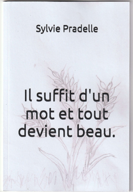 Kniha Il suffit d'un mot et tout devient beau. 