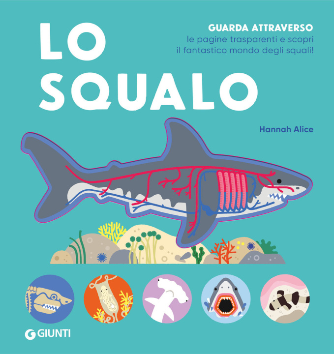 Buch squalo Alice Hannah