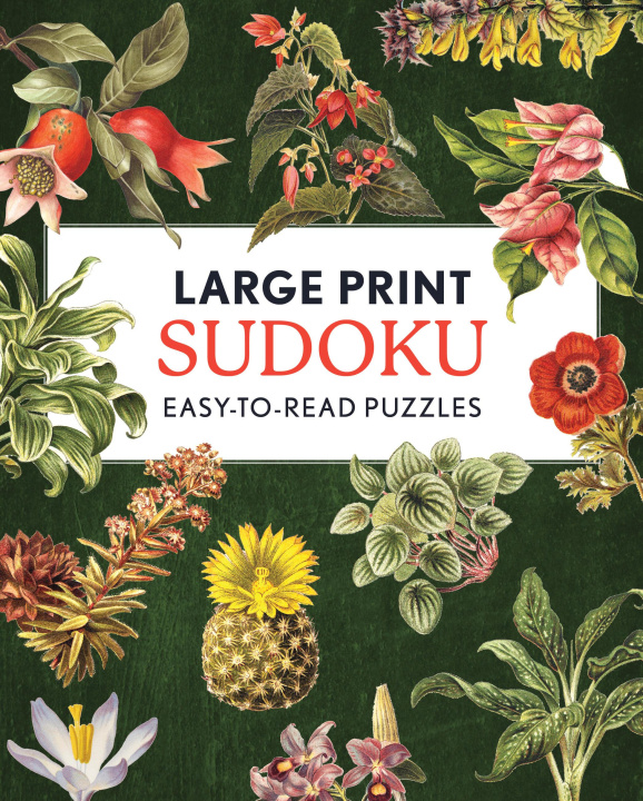 Kniha Large Print Sudoku CHARTWELL