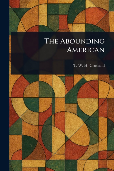 Kniha The Abounding American 