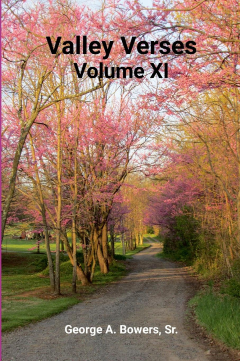 Boek Valley Verses Volume XI George Bowers