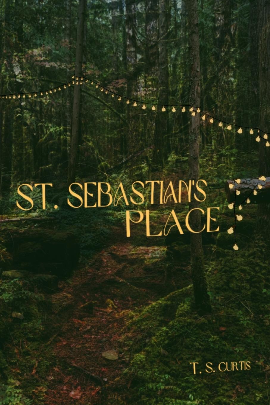 Kniha St. Sebastian's Place 
