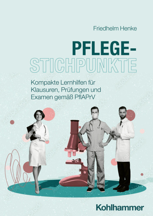 Knjiga Pflegestichpunkte Friedhelm Henke