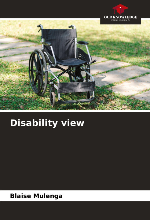 Kniha Disability view Blaise Mulenga
