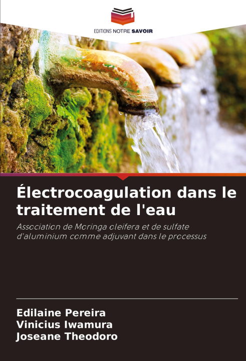 Книга Électrocoagulation dans le traitement de l'eau Vinicius Iwamura