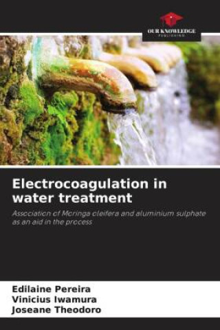 Book Electrocoagulation in water treatment Vinicius Iwamura