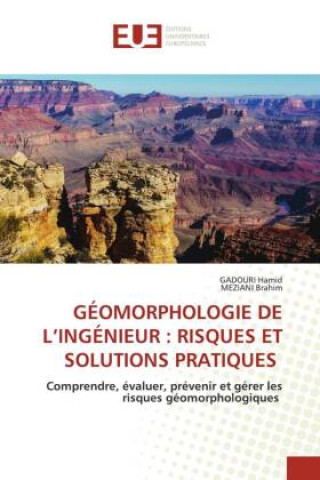 Knjiga GÉOMORPHOLOGIE DE L'INGÉNIEUR : RISQUES ET SOLUTIONS PRATIQUES Meziani Brahim