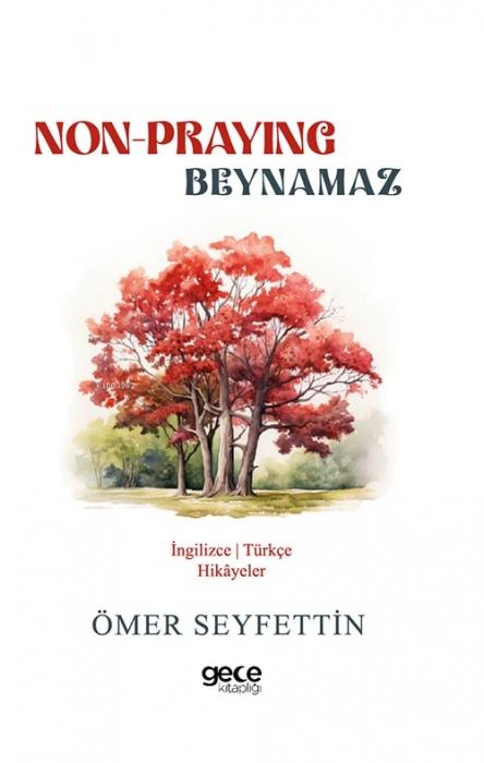 Kniha Non-Praying - Beynamaz 