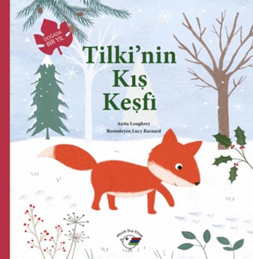 Kniha Dogada Bir Yil - Tilkinin Kis Kesfi 
