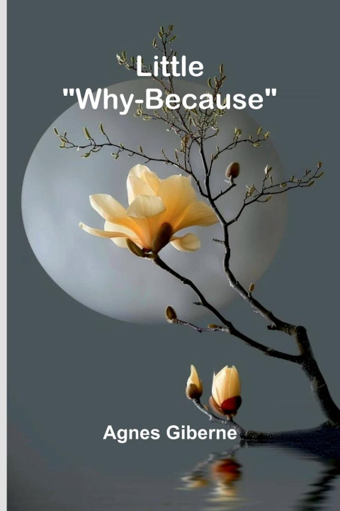 Kniha Little "Why-Because" Agnes Giberne