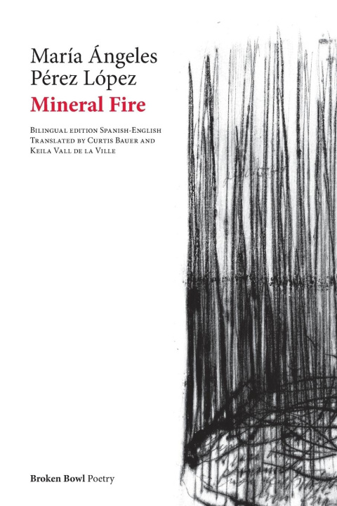 Buch Mineral Fire Curtis Bauer