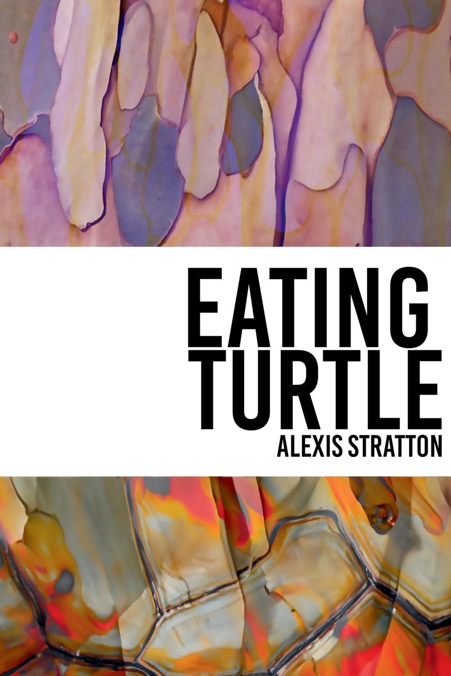 Kniha Eating Turtle 