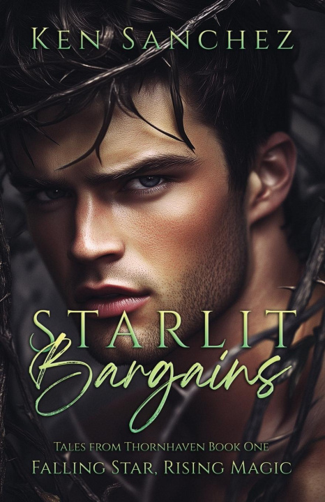 Kniha Starlit Bargains 
