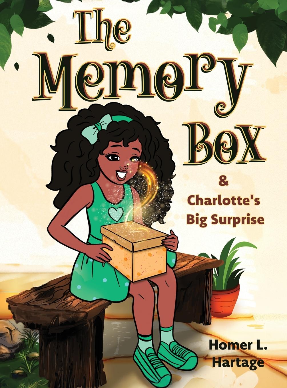 Kniha The Memory Box 