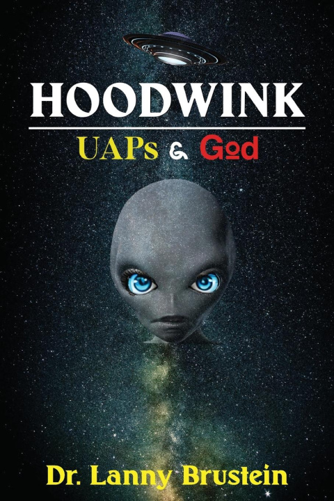 Kniha Hoodwink 