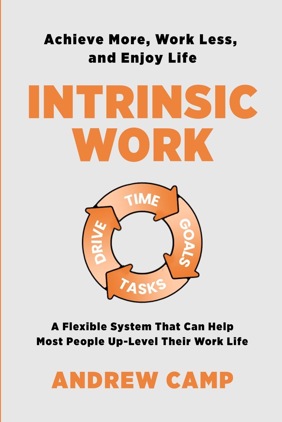 Книга Intrinsic Work 