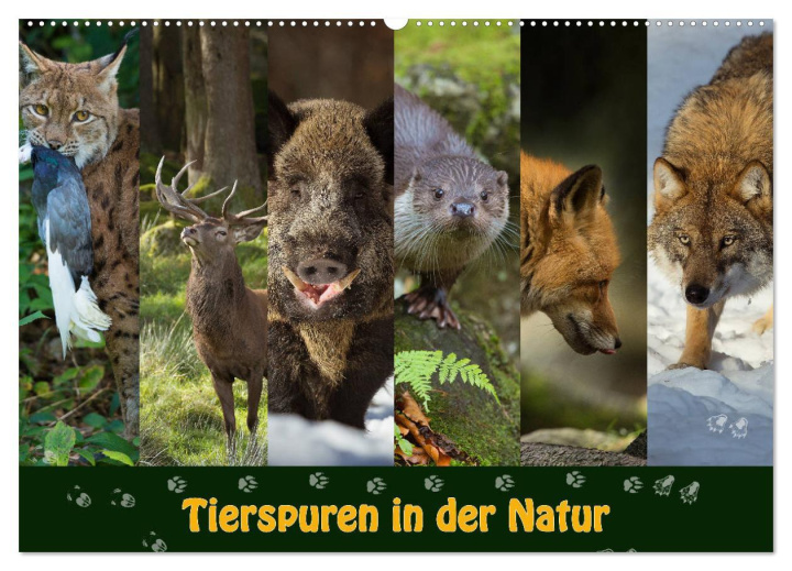 Kalendár/Diár Tierspuren in der Natur (Wandkalender 2026 DIN A2 quer), CALVENDO Monatskalender Calvendo