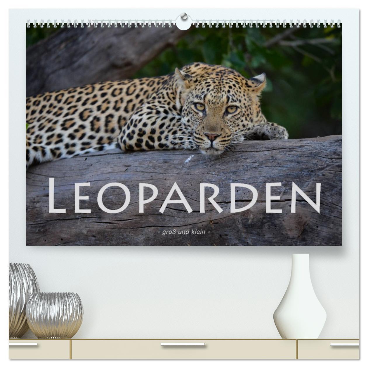 Kalendár/Diár Leoparden - groß und klein (hochwertiger Premium Wandkalender 2026 DIN A2 quer), Kunstdruck in Hochglanz Calvendo