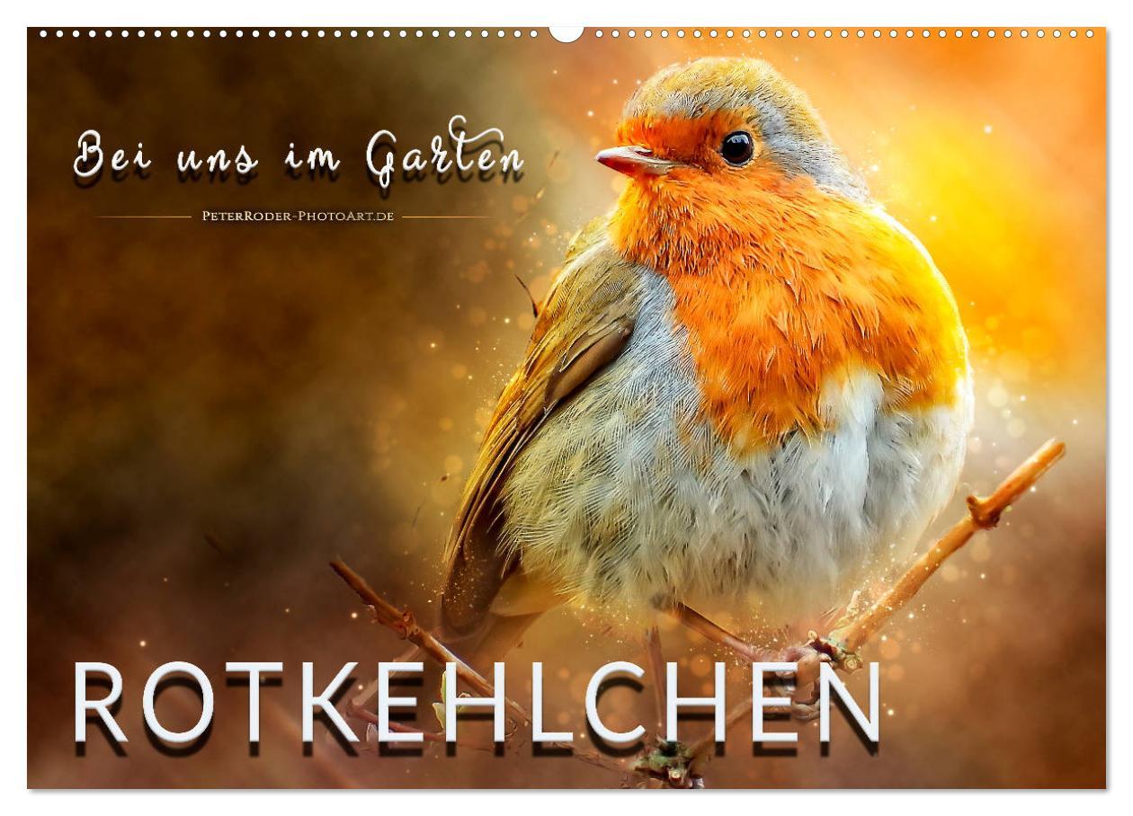 Kalendár/Diár Bei uns im Garten - Rotkehlchen (Wandkalender 2026 DIN A2 quer), CALVENDO Monatskalender Calvendo