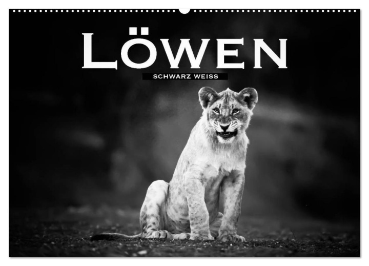 Kalendár/Diár Löwen schwarz weiß (Wandkalender 2026 DIN A2 quer), CALVENDO Monatskalender Calvendo