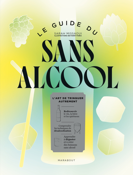 Kniha Le guide du sans alcool 