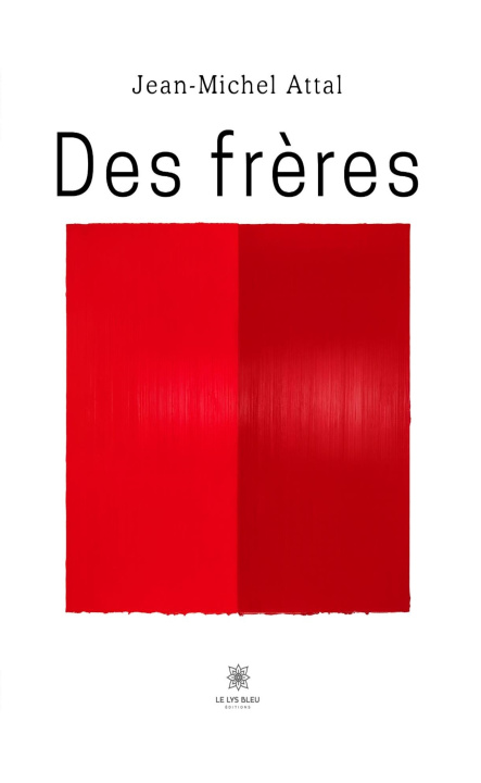 Kniha Des frères Jean-Michel Attal