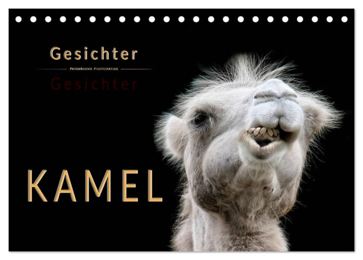 Kalendar/Rokovnik Kamel Gesichter (Tischkalender 2026 DIN A5 quer), CALVENDO Monatskalender Calvendo