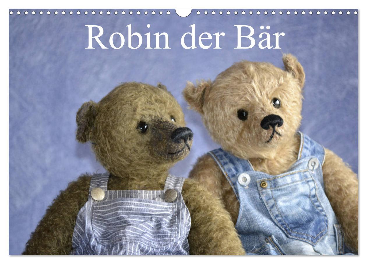 Kalendár/Diár Robin der Bär (Wandkalender 2026 DIN A3 quer), CALVENDO Monatskalender Calvendo