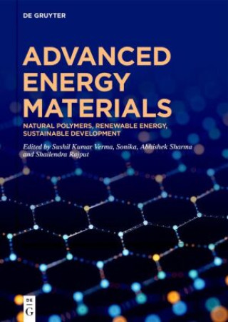 Kniha Advanced Energy Materials Sushil Kumar Verma